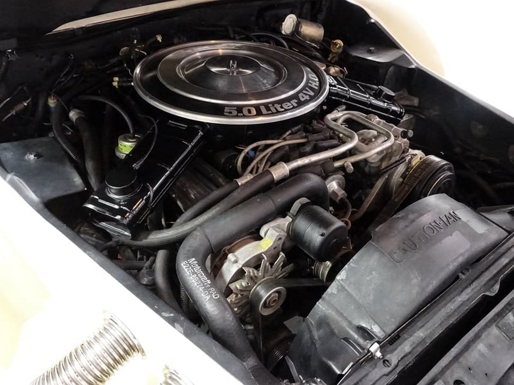 1983 Zimmer Golden Spirit Convertible - Image 10