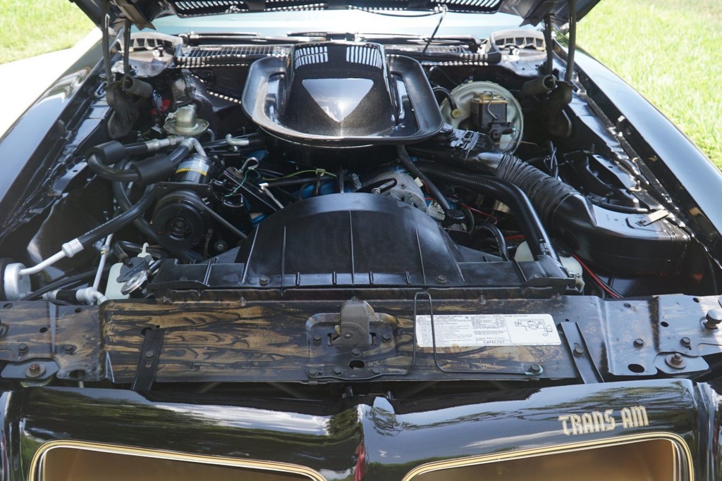 1976 Pontiac Firebird Trans Am 50th Anniversary Special Edition - Image 129