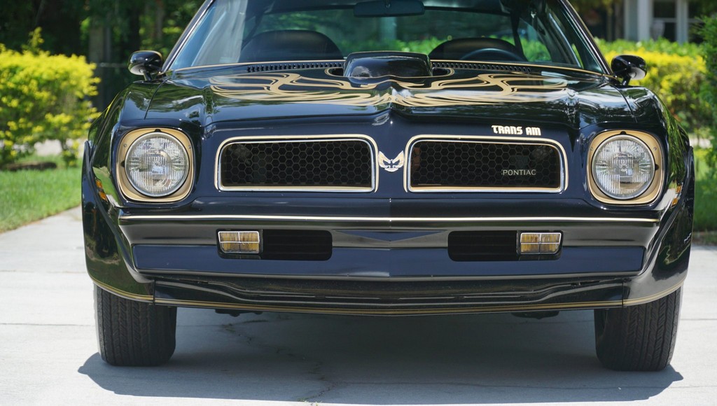 1976 Pontiac Firebird Trans Am 50th Anniversary Special Edition - Image 141