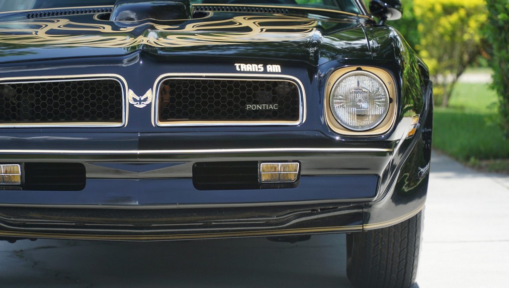 1976 Pontiac Firebird Trans Am 50th Anniversary Special Edition - Image 142