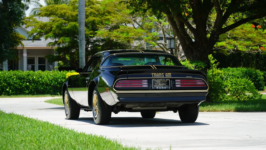 1976 Pontiac Firebird Trans Am 50th Anniversary Special Edition - Image 193