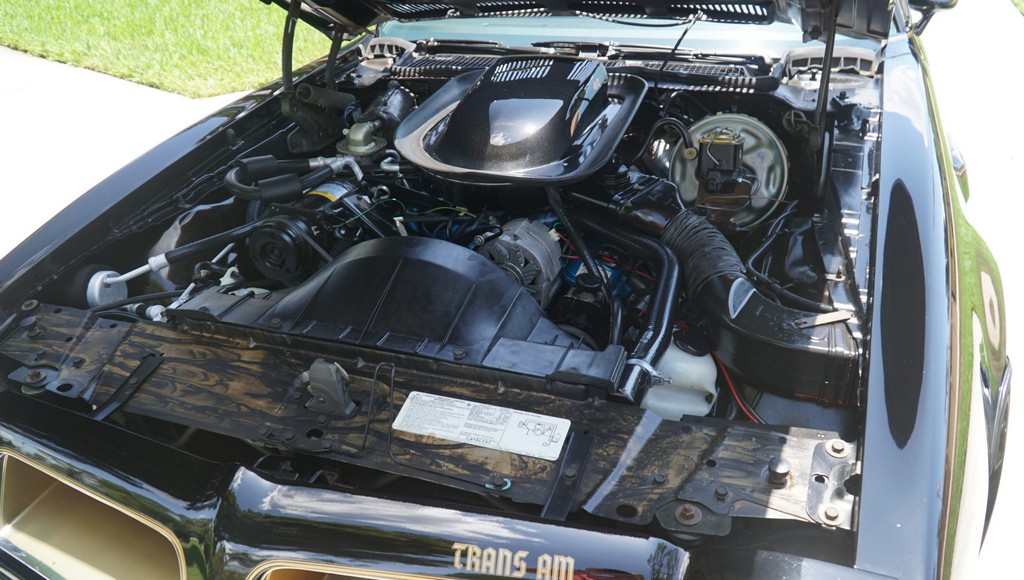 1976 Pontiac Firebird Trans Am 50th Anniversary Special Edition - Image 200