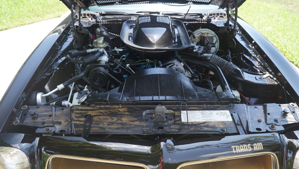 1976 Pontiac Firebird Trans Am 50th Anniversary Special Edition - Image 201