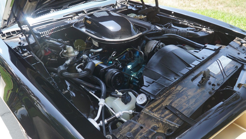 1976 Pontiac Firebird Trans Am 50th Anniversary Special Edition - Image 203