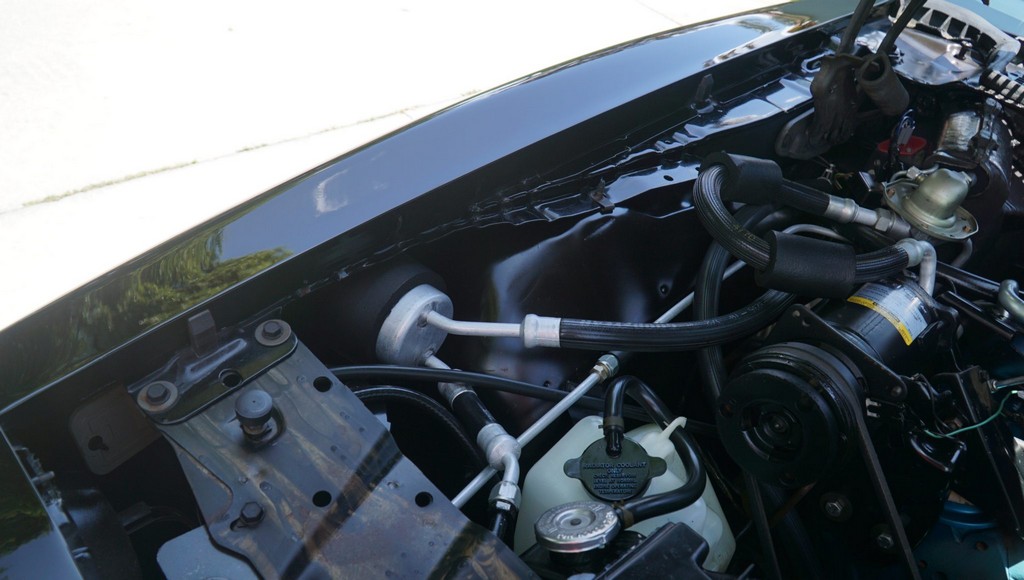 1976 Pontiac Firebird Trans Am 50th Anniversary Special Edition - Image 212