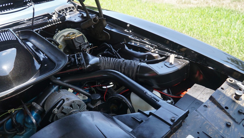 1976 Pontiac Firebird Trans Am 50th Anniversary Special Edition - Image 213