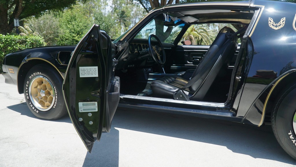 1976 Pontiac Firebird Trans Am 50th Anniversary Special Edition - Image 215