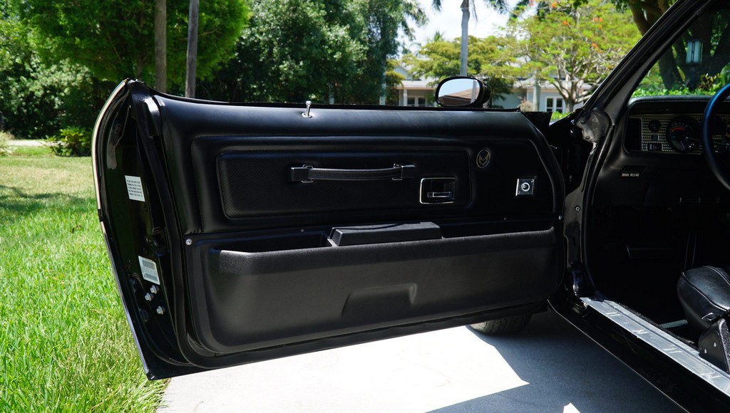 1976 Pontiac Firebird Trans Am 50th Anniversary Special Edition - Image 216