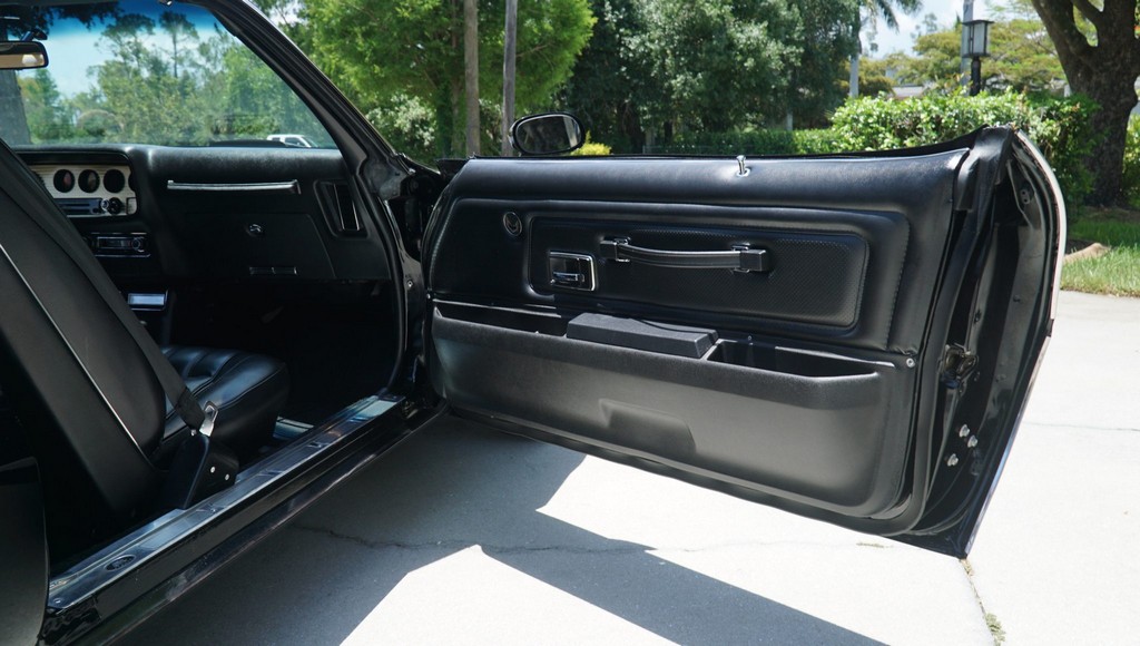 1976 Pontiac Firebird Trans Am 50th Anniversary Special Edition - Image 222