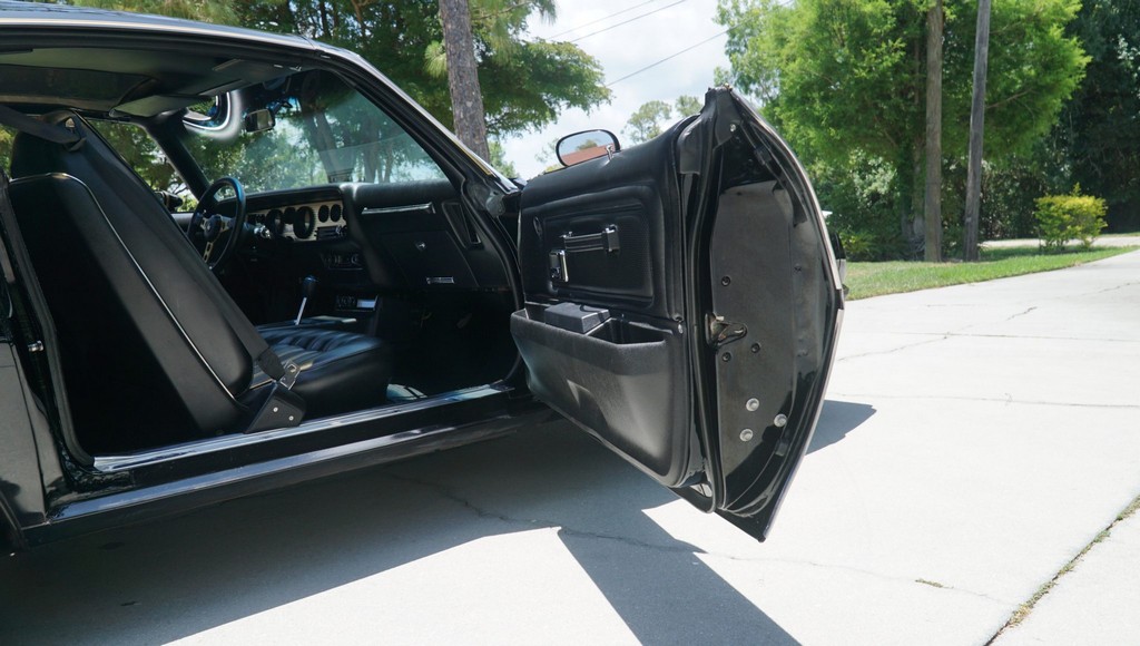 1976 Pontiac Firebird Trans Am 50th Anniversary Special Edition - Image 223