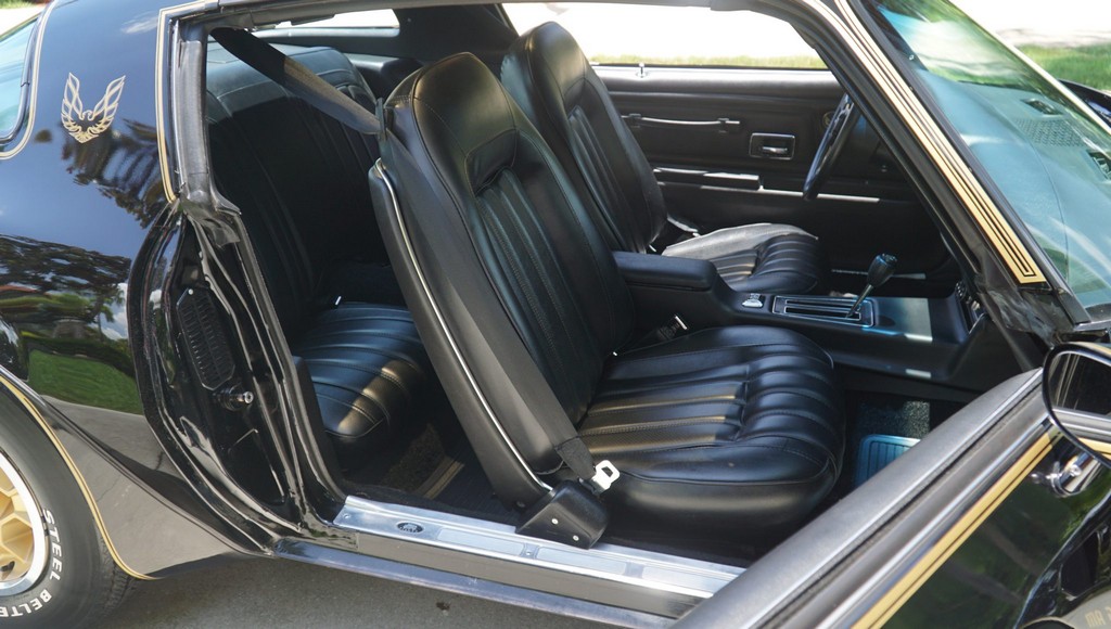 1976 Pontiac Firebird Trans Am 50th Anniversary Special Edition - Image 224