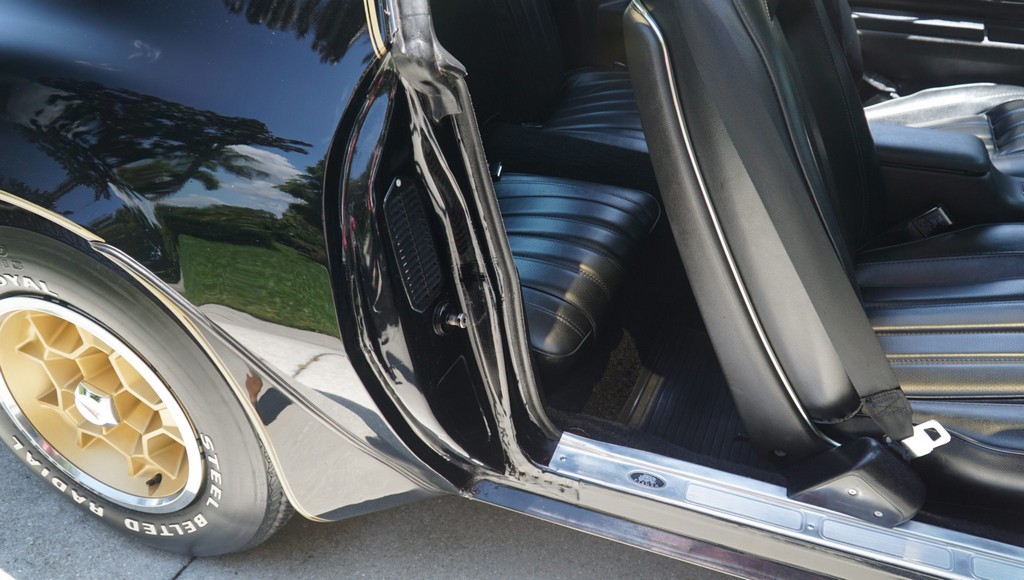 1976 Pontiac Firebird Trans Am 50th Anniversary Special Edition - Image 225