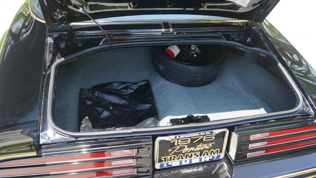 1976 Pontiac Firebird Trans Am 50th Anniversary Special Edition - Image 237