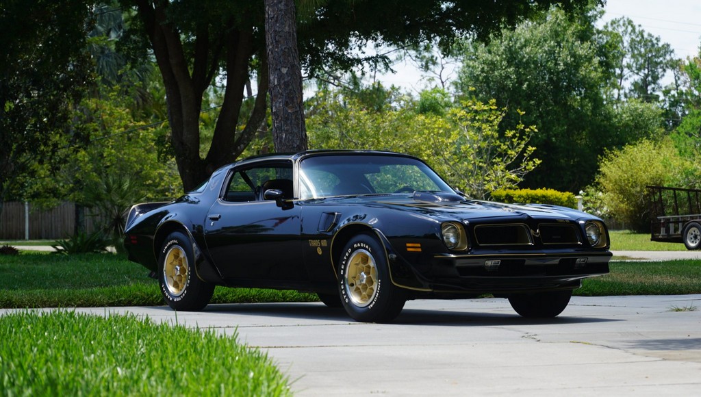1976 Pontiac Firebird Trans Am 50th Anniversary Special Edition - Image 14