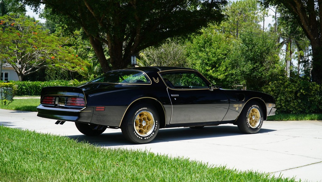 1976 Pontiac Firebird Trans Am 50th Anniversary Special Edition - Image 19