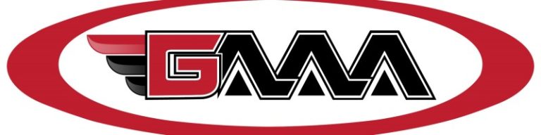 Greater-Atlanta-Auto-Auction